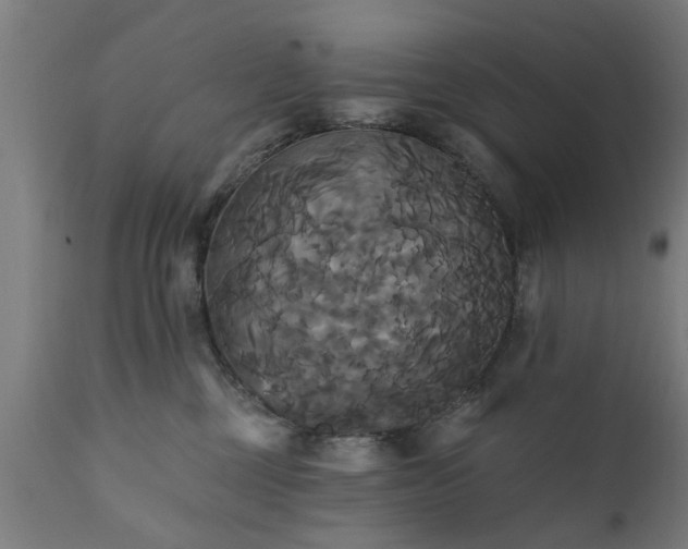 X0000111820377200907301302