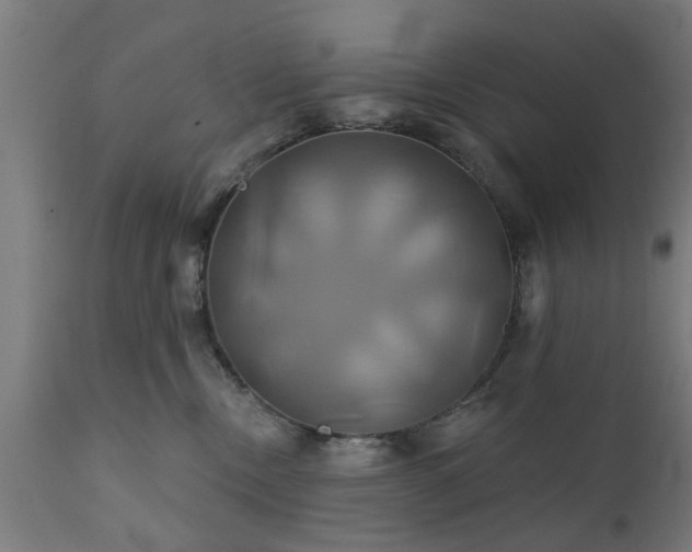 X0000111820378200907301302