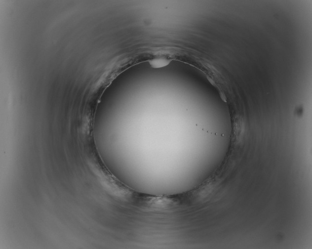 X0000111820379200907301302