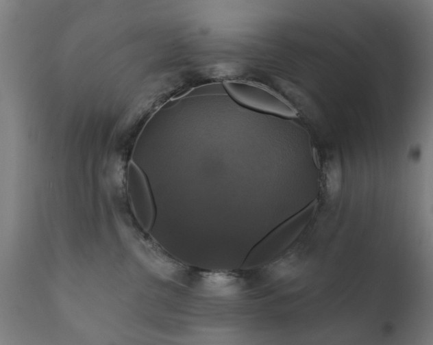 X0000111820380200907301302