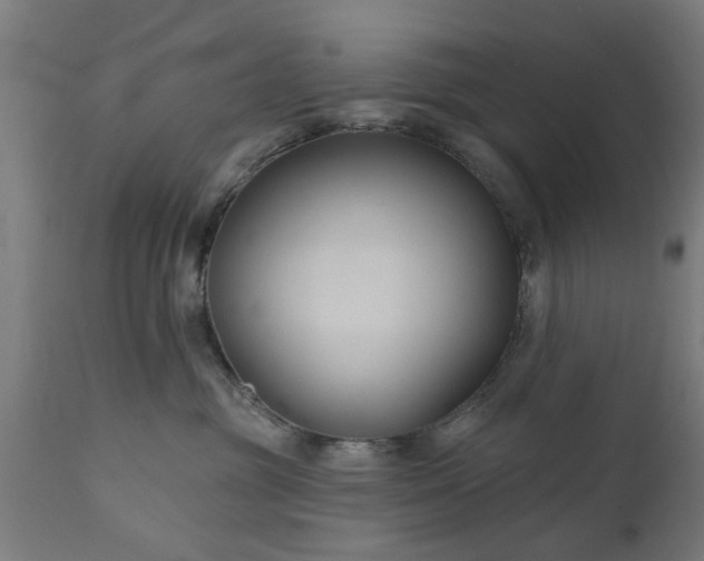 X0000111820381200907301302