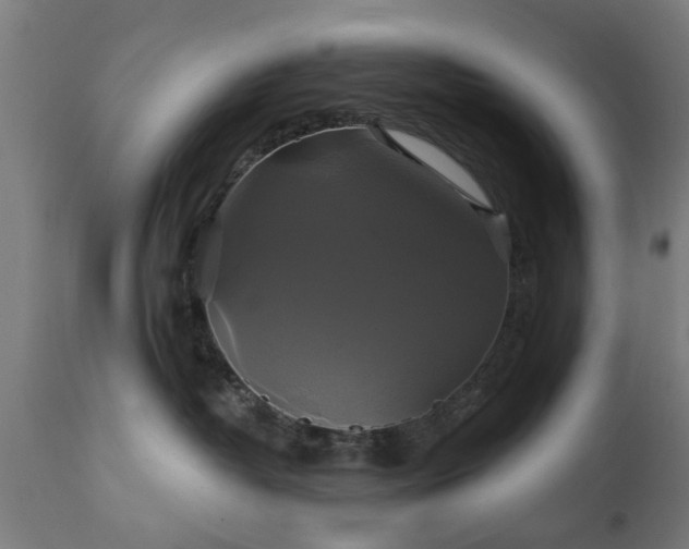 X0000111820382200907301302