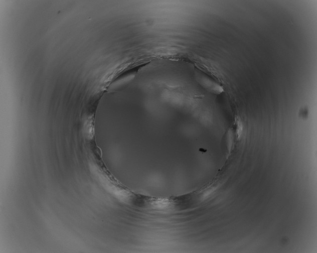 X0000111820383200907301302