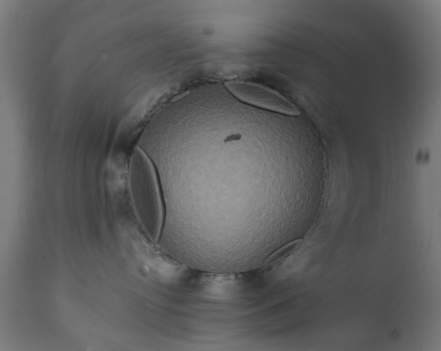 X0000111820384200907301302