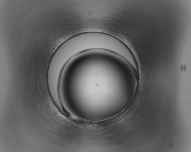 X0000111820385200907301302