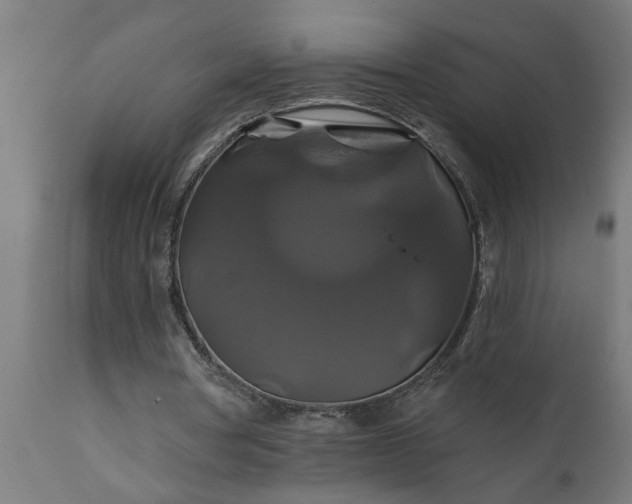 X0000111820386200907301302