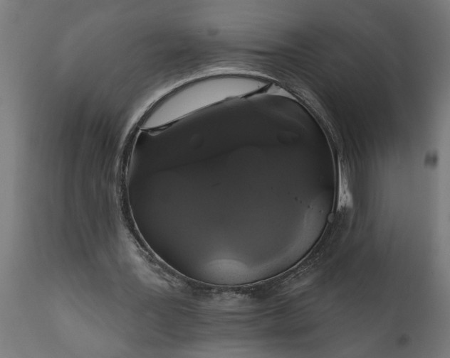 X0000111820387200907301302