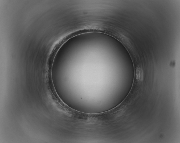 X0000111820388200907301302