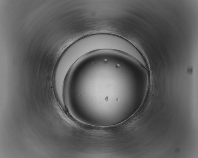 X0000111820389200907301302