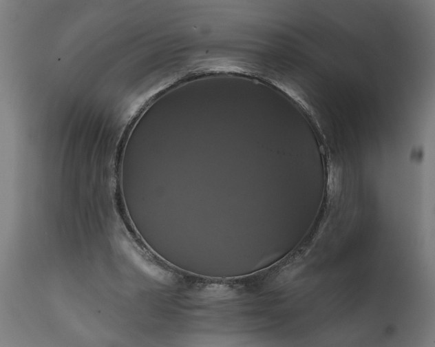 X0000111820390200907301302