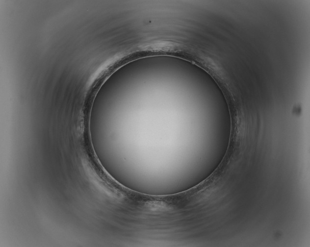 X0000111820392200907301302
