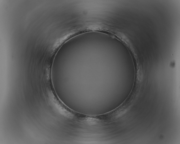 X0000111820393200907301302