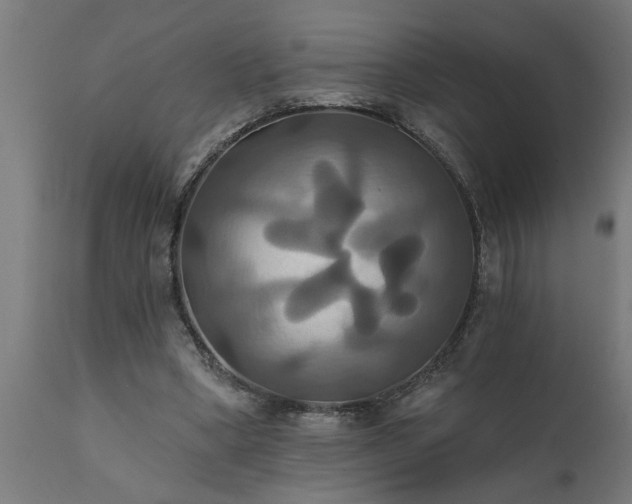 X0000111820394200907301302