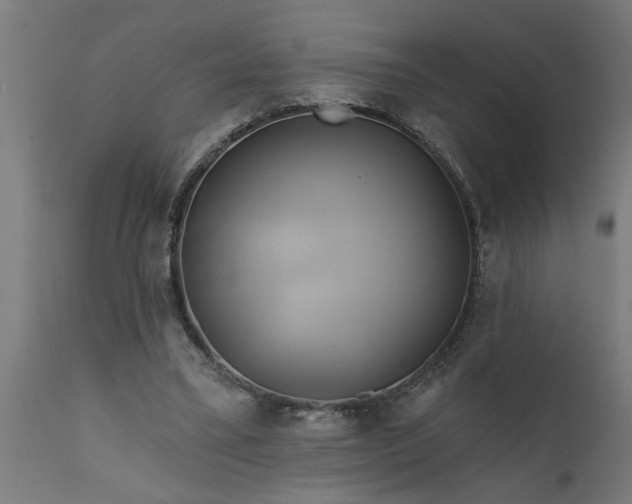 X0000111820395200907301302