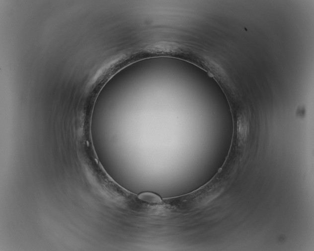 X0000111820396200907301302