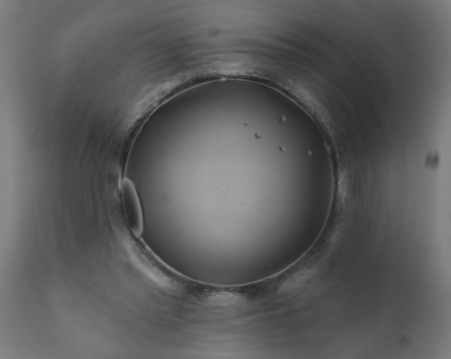 X0000111820397200907301302