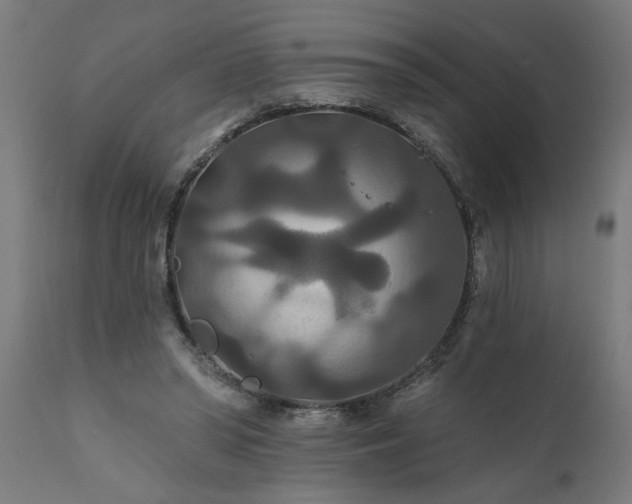 X0000111820398200907301302