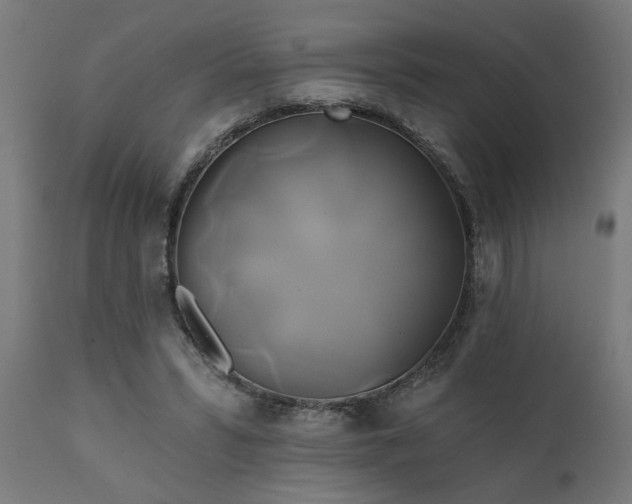 X0000111820399200907301302