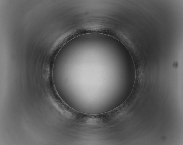 X0000111820400200907301302