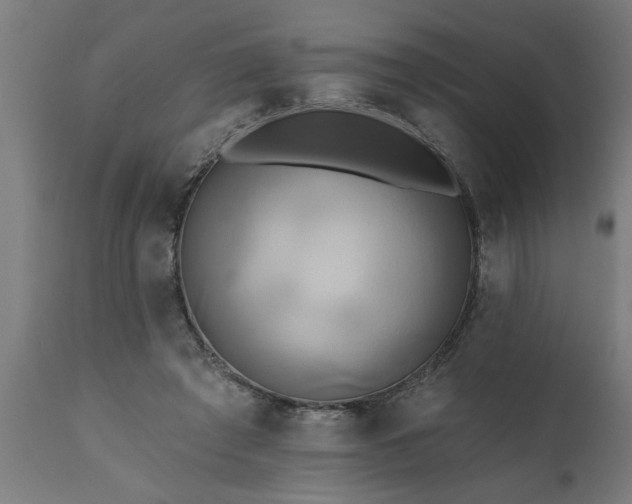 X0000111820401200907301302