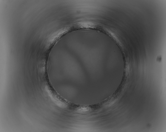 X0000111820402200907301302