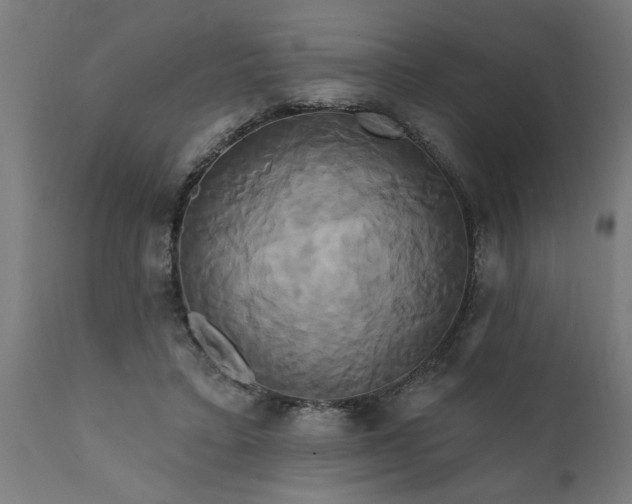 X0000111820403200907301302