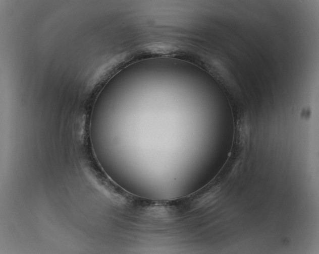 X0000111820404200907301302