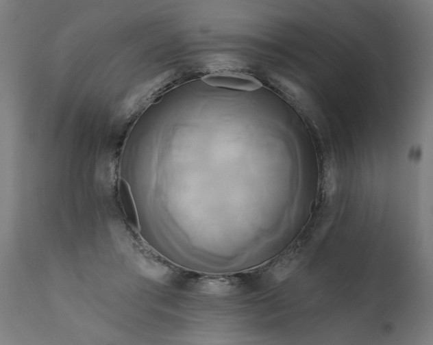 X0000111820405200907301302