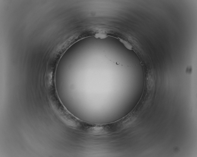 X0000111820406200907301301
