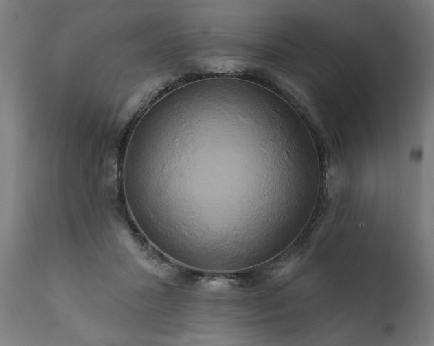 X0000111820407200907301301