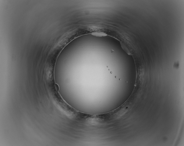 X0000111820408200907301301