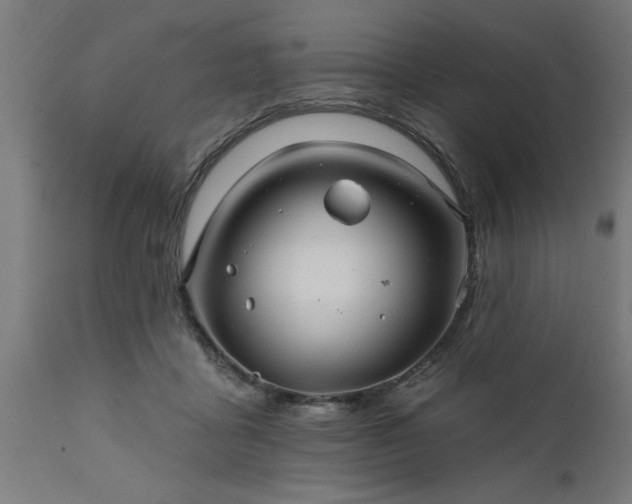 X0000111820411200907301301
