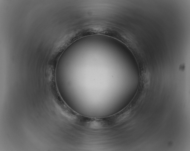 X0000111820412200907301301