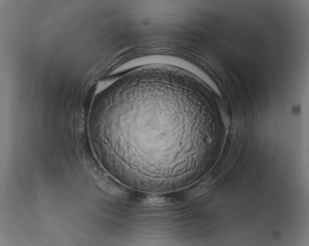 X0000111820413200907301301