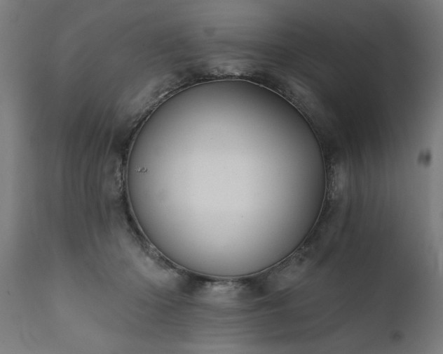 X0000111820414200907301301