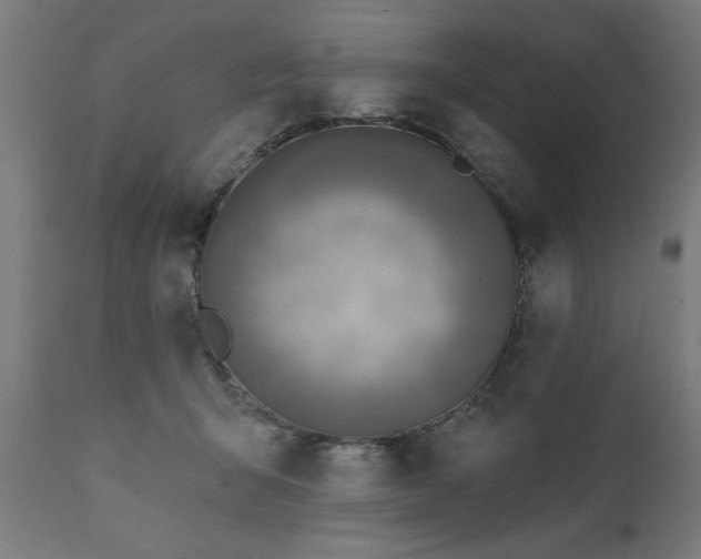X0000111820415200907301301