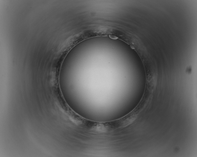 X0000111820416200907301301