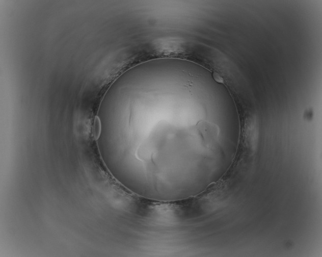 X0000111820417200907301301