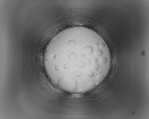 X0000111820418200907301301