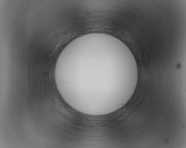 X0000111820419200907301301