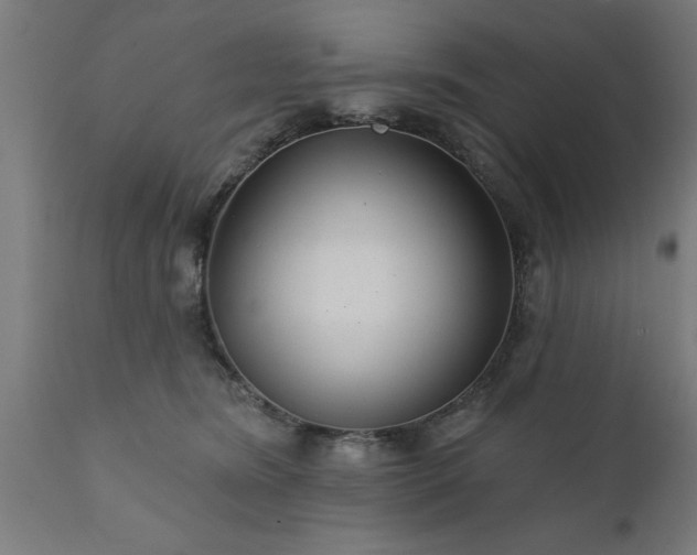 X0000111820420200907301301