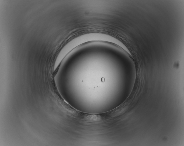 X0000111820421200907301301