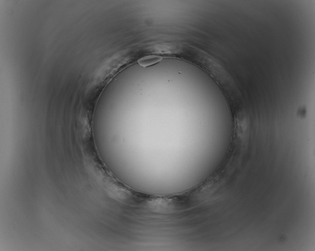X0000111820422200907301301
