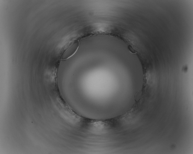 X0000111820423200907301301