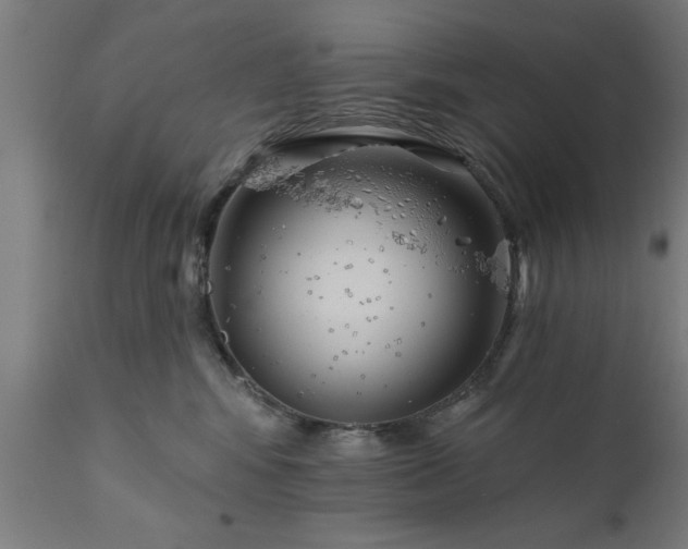 X0000111820424200907301301