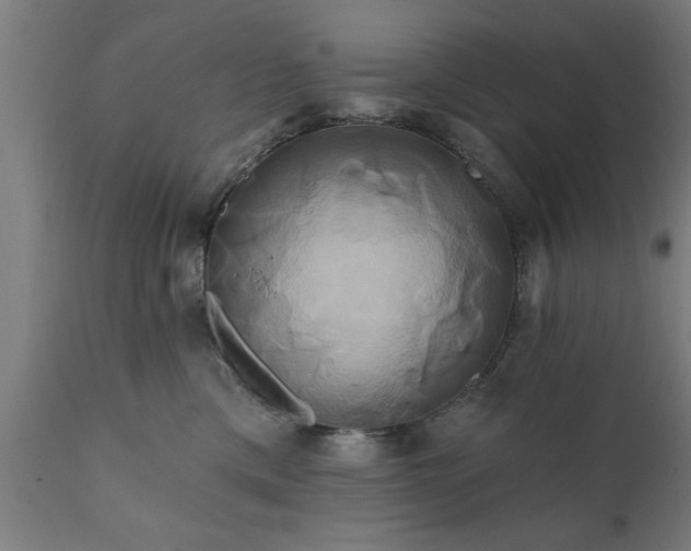 X0000111820425200907301301