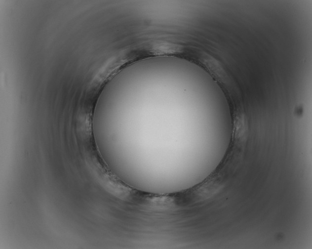 X0000111820426200907301301