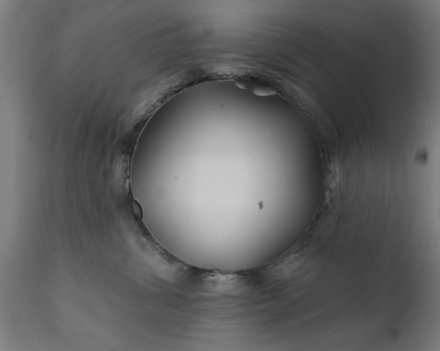 X0000111820428200907301301