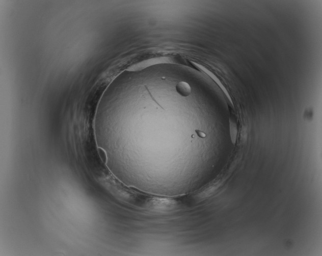 X0000111820429200907301301