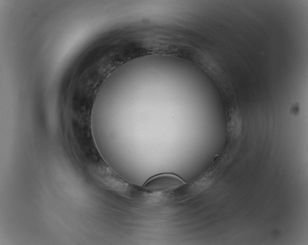 X0000111820430200907301301